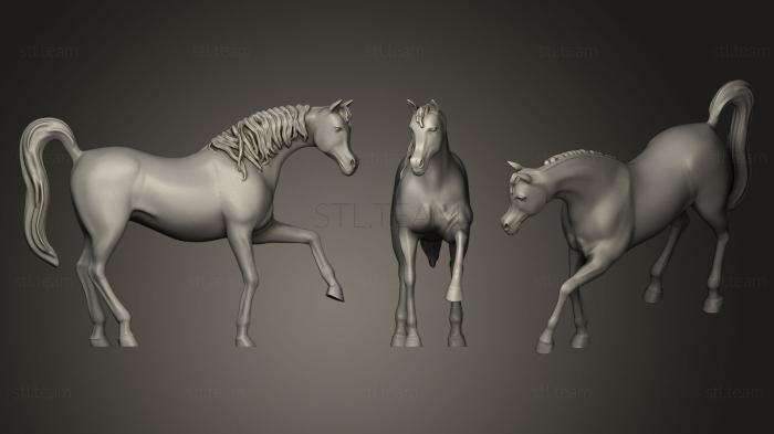 3D model Arabian Horse (STL)